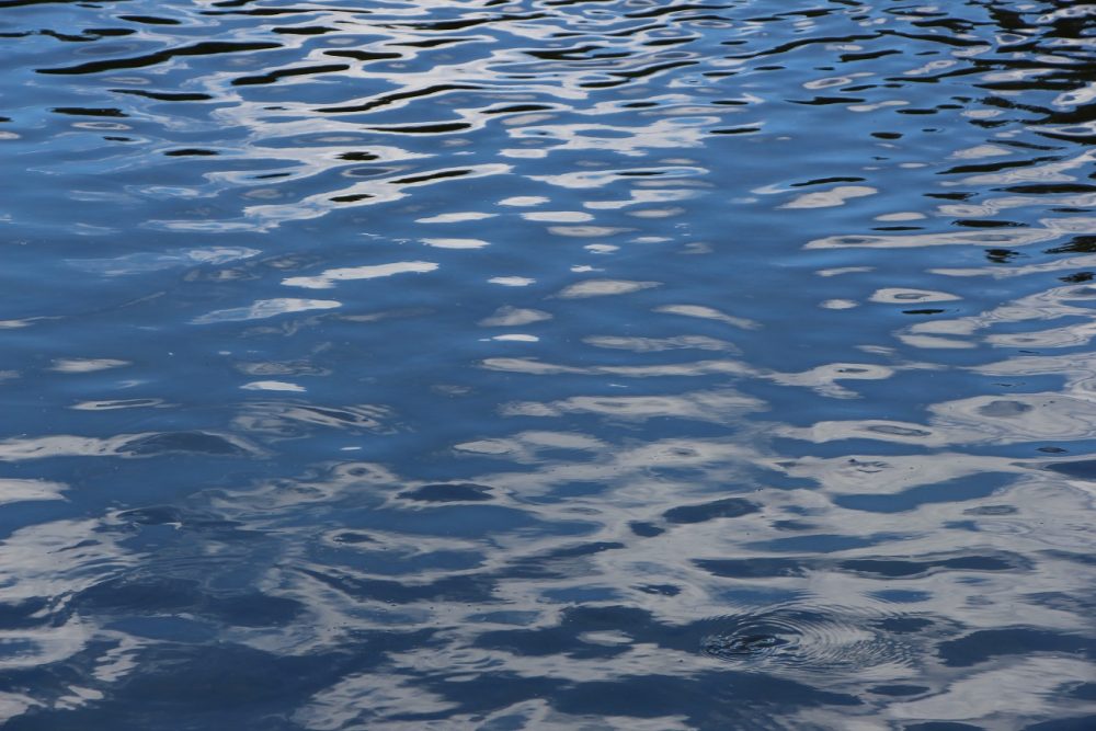 eau d'une rivière